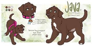 C Java By Ranalligator On Deviantart Dog Design Art Digital Artist Artist