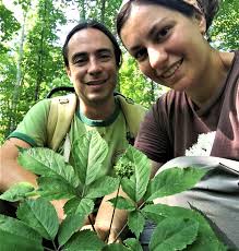 About: Wild Hudson Valley