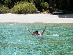 Top 10 Places To Go Swimming In Lake Tahoe Laketahoe Com Lake Tahoe Beach Tahoe Beaches Lake Tahoe
