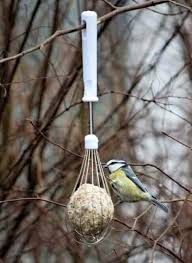 Comment Nourrir Les Oiseaux Pendant L Hiver Nichoir Nichoir Oiseau Mangeoire Oiseau