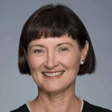 Cherie Fine, Lawyer in Gainesville, Florida