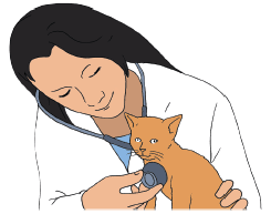 Puisi aku menjadi seorang dokter hewan. Ciri Ciri Puisi Gurune Net