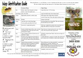 Flyer No 36 Wasp Identification Chart