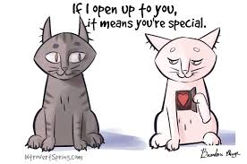 An introvert is often thought of as a quiet, reserved, and thoughtful individual. If An Introvert Opens Up To You It Means You Re Special Introvert Spring