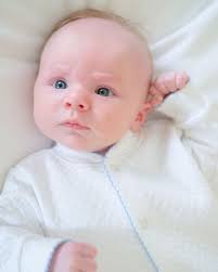 Audrey Levine Photo (@audreylevinephoto) • Instagram photos and videos