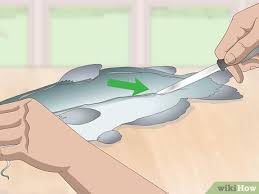 The first cut will be from one side fin to the other, right over the head. How To Skin And Clean Catfish 14 Steps With Pictures Wikihow