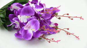 Order now for contactless delivery. Best Birthday Flowers That Bring Good Luck Bloomsvilla