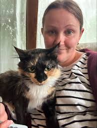 I'm worried about Miss Willow. She's going outside the little box and  exhibiting some signs of feline dementia. I also may be overreacting to her  just being 18.