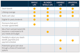 64 Exhaustive Life Insurance Types Comparison Chart