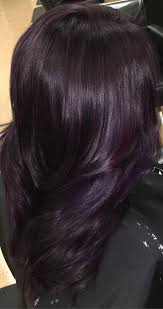 It gives hair blue black / shades, visible especially in the sunlight. 29 Dark Purple Hair Colour Ideas To Suit Any Taste In 2019 Hair Colour Style