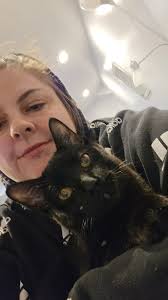 FOUND SAFE 💙💙 Lost kitten in Niagara Falls Oldfield/Sam Iorfida Dr area.  I took these pictures with him last night around 8:45 pm. No idea how or  when he got out. Haven't