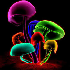 49 neon wallpapers, background,photos and images of neon for desktop windows 10, apple hd neon 4k wallpaper , background | image gallery in different resolutions like 1280x720, 1920x1080. Neon Wallpaper 4k Apps Bei Google Play
