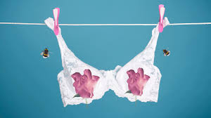 Bee Pollen Benefits: Can It Actually Make Your Boobs Bigger? Experts Answer  That and More Myths About Bee Pollen | Glamour