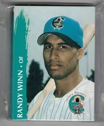 1995 ELMIRA PIONEERS UPDATE TEAM SET COMPLETE NEW 31 CARDS 500 SETS MADE