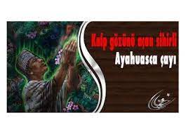 Ayahuasca Cayi Nedir Kalp Gozunu Ucuncu Gozu Actigini Biliyor Musunuz Gundelik Yasam Milliyet Blog