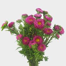 Send harmony's basket to a friend or family member that loves the beauty of fresh flowers. Matsumoto Hot Pink Flowers Wholesale Blooms By The Box