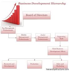 Business Development Hierarchy Business Management Marketing