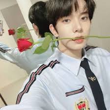 Miso lee (misoooooooo3456543)