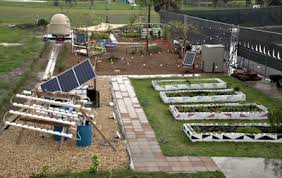 From Brightview donating time to Kubota donating money