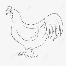 His appearance is determined by which creature the player chooses: Chicken Clipart Black And White Chicken Clipart Black And White Chicken Black And White Animation Png Transparent Clipart Image And Psd File For Free Download