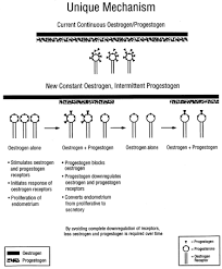 Image result for Continuous Estrogen Replacement