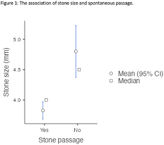 Image result for STONE Score