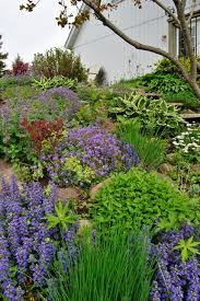 Rock Garden On Side Of Hill Rock Garden Sloped Garden Landscaping With Rocks