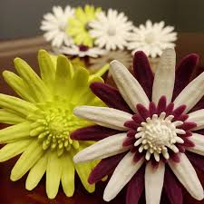 We did not find results for: Daisy Flat Flower 3d Model For 3d Printers Free