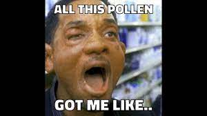 3 Foods That We All Have Some Sort Of Allergy To Allergies Funny Bones Funny Hvac Humor