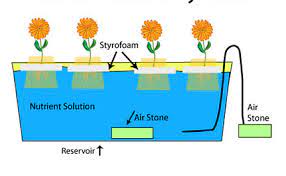 2 Water Culture Figure Taken From Http Www Hannainst Com Hydroponics Download Scientific Diagram