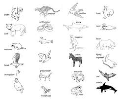 Ways Animals Move Charades With Pictures Balloon Painting Animals Picture Cards