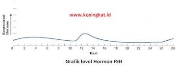 Check spelling or type a new query. Jawaban Ipa Kelas 8 Halaman 99 103 Ilmu Link