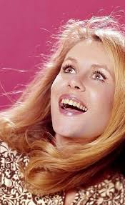 Larry likes Hummmming bird tongue stew... 😆🤣😂😹