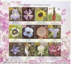 238 Wild Flowers Of India Commemorative Postage Stamps Issued By The Department Of Posts India Brought Out On The Occasion Of The 11th Asian Pacific Postal U Wild Flowers Flowers Commemoration