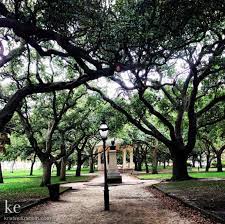 We did not find results for: These Trees Are Gorgeous Charleston Sc Battery Park The Good Place Intimate Wedding Battery Park