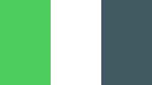 These free images are pixel perfect to fit your design and available in both png and vector. Whatsapp Logo Color Scheme Brand And Logo Schemecolor Com