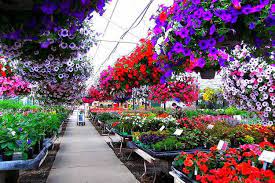 Maybe you would like to learn more about one of these? Lapham S Garden Center Home Facebook