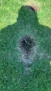 Is a local, family owned and operated exterminator business. Kwik Kill Pest Control Home Facebook