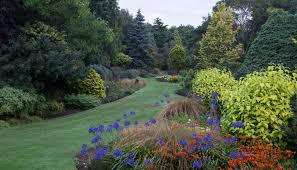 Throughout the 12 acre site, turf grass plays a very different role than it does in most us gardens. Foggy Bottom At 50 Bressingham Gardens