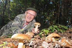 Voici tous nos conseils pour que ce moment dans. Cueillette De Champignons En Gironde Des Cepes Il Va En Sortir Le Republicain Sud Gironde