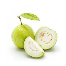 From wikimedia commons, the free media repository. Guava Jambu Batu 1kg Shopee Malaysia