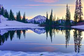 Hd Wallpaper Mt Rainier Mount Rainier Mount Rainier National Park Washington Wallpaper Flare Download the perfect mount rainier pictures. hd wallpaper mt rainier mount rainier