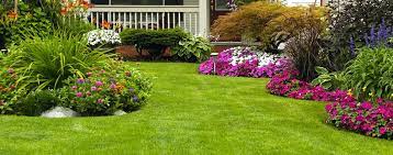 In the same way that a farmer's field is plowed every year, your lawn needs to be aerated, usually in the spring and fall. Alamo Lawncare Services In Brevard County Melbourne Palm Bay Fl Lawn Mowing Mulch Trimming