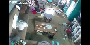 Tsunami warning canceled following earthquake