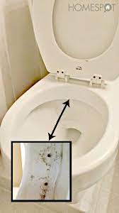 Keep A Toilet Clean Much Longer Toiletten Reinigen Tipps Fur Die Hausreinigung Haushaltsreinigungstipps
