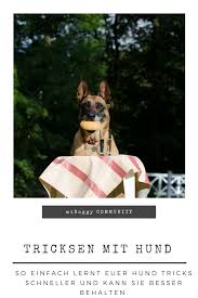 Do As I Do So Lernt Euer Hund Euch Zu Imitieren Hunde Hundetricks Welpen