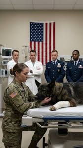 It's me.” The wounded K9 stopped fighting the moment the rookie SEAL spoke  the unit's secret code. The doors of the Coronado Naval Base Emergency  Veterinary Clinic slammed open at 2130 hours.