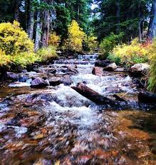 Drive through georgetown and follow the signs for the guanella pass scenic byway. Guanella Pass Campground Arapaho Co 8 Hipcamper Reviews And 19 Photos