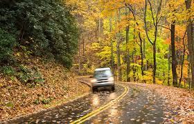 Learn how to prevent slips, trips, and falls in the workplace with saif's online safety training resources. Fall Season Safety Tips Lovetoknow