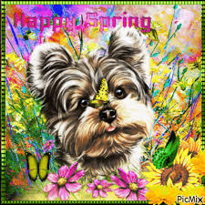 Check spelling or type a new query. Dog With Flowers Picmix